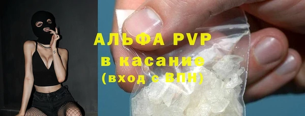 прущие грибы Арсеньев