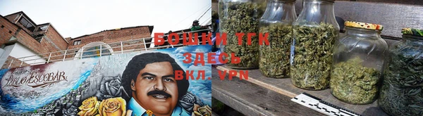 прущие грибы Арсеньев